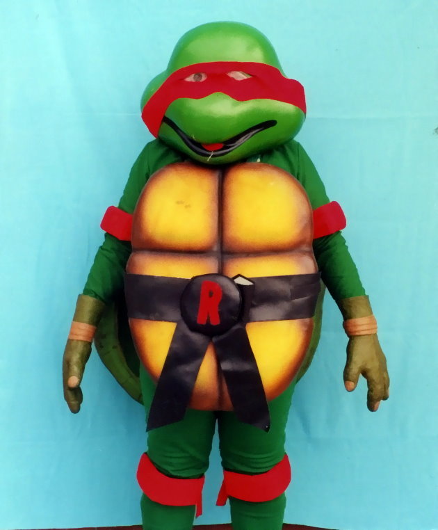 Martial Arts Turtle
